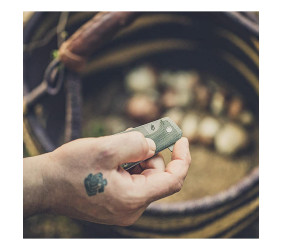 N Gerber Asada OLIVE