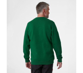 Bluza Helly Hansen Graphic Green