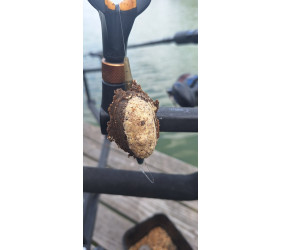 Zanęta Method Feeder Wymiatacz Micro Pan Ryba