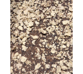 Zanęta Method Feeder Wymiatacz Pan Ryba