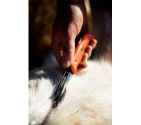 Nóż Outdoor Edge Razor Blaze Orange Blister